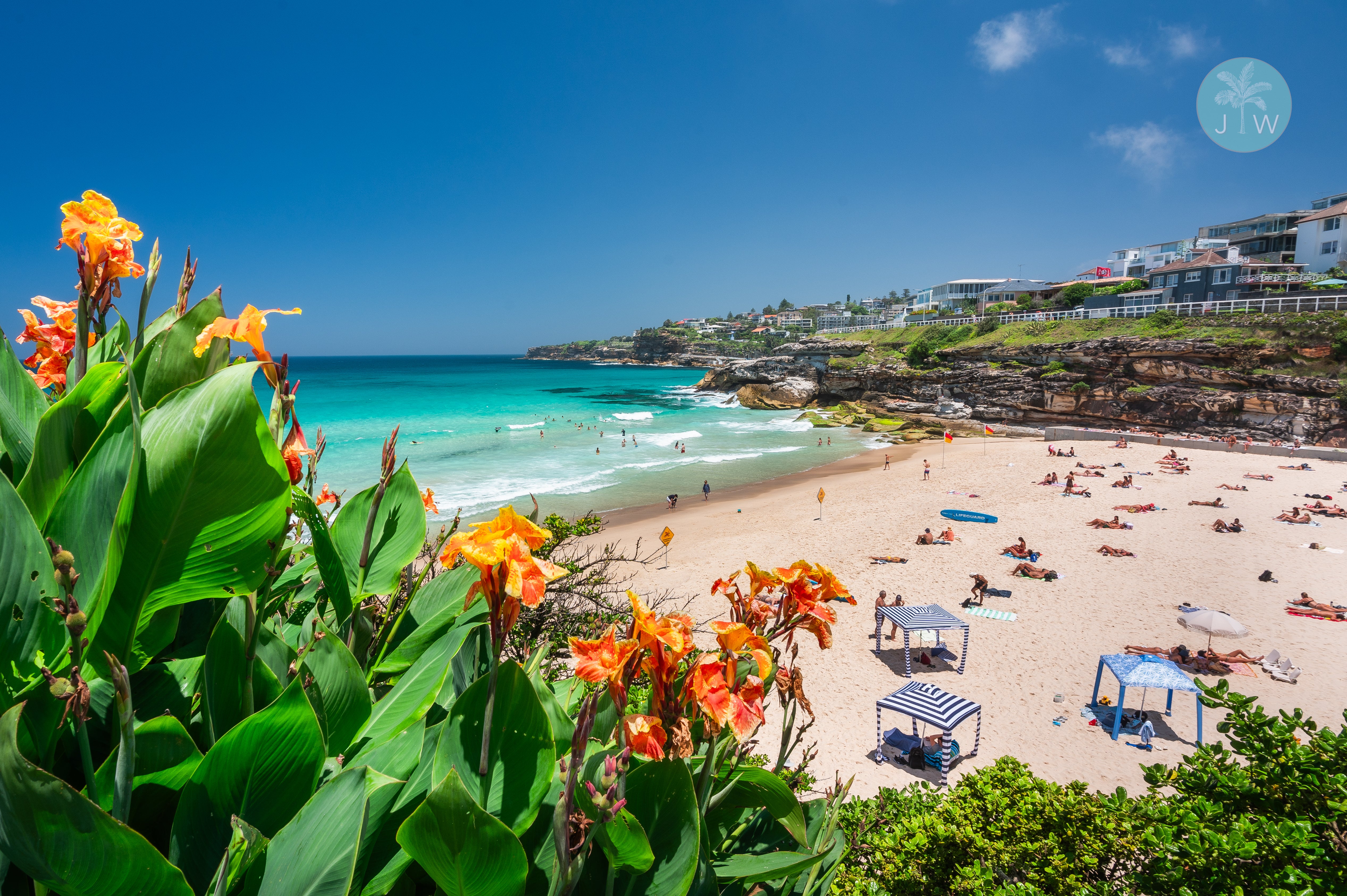 Tamarama Bloom