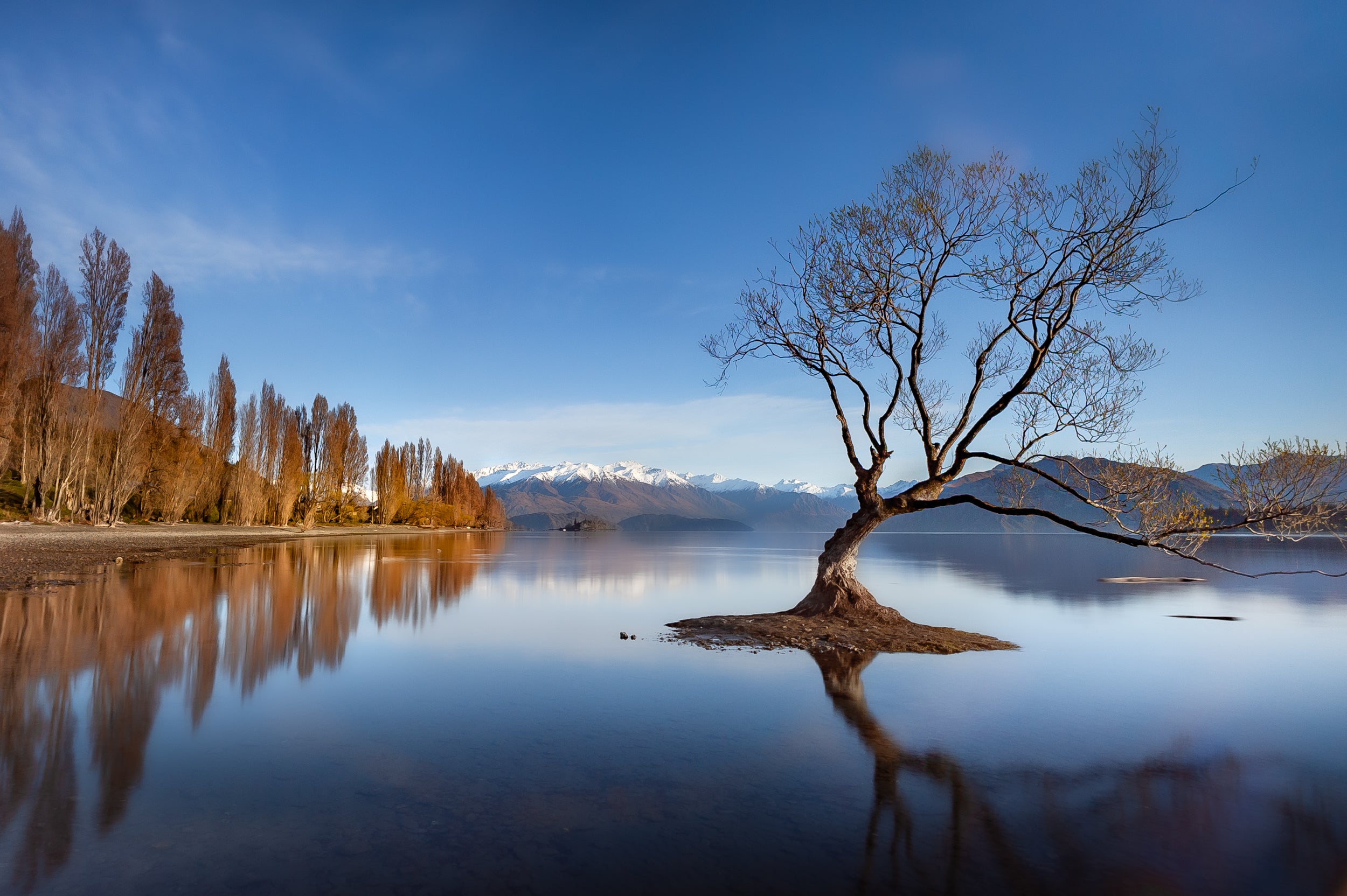 New Zealand