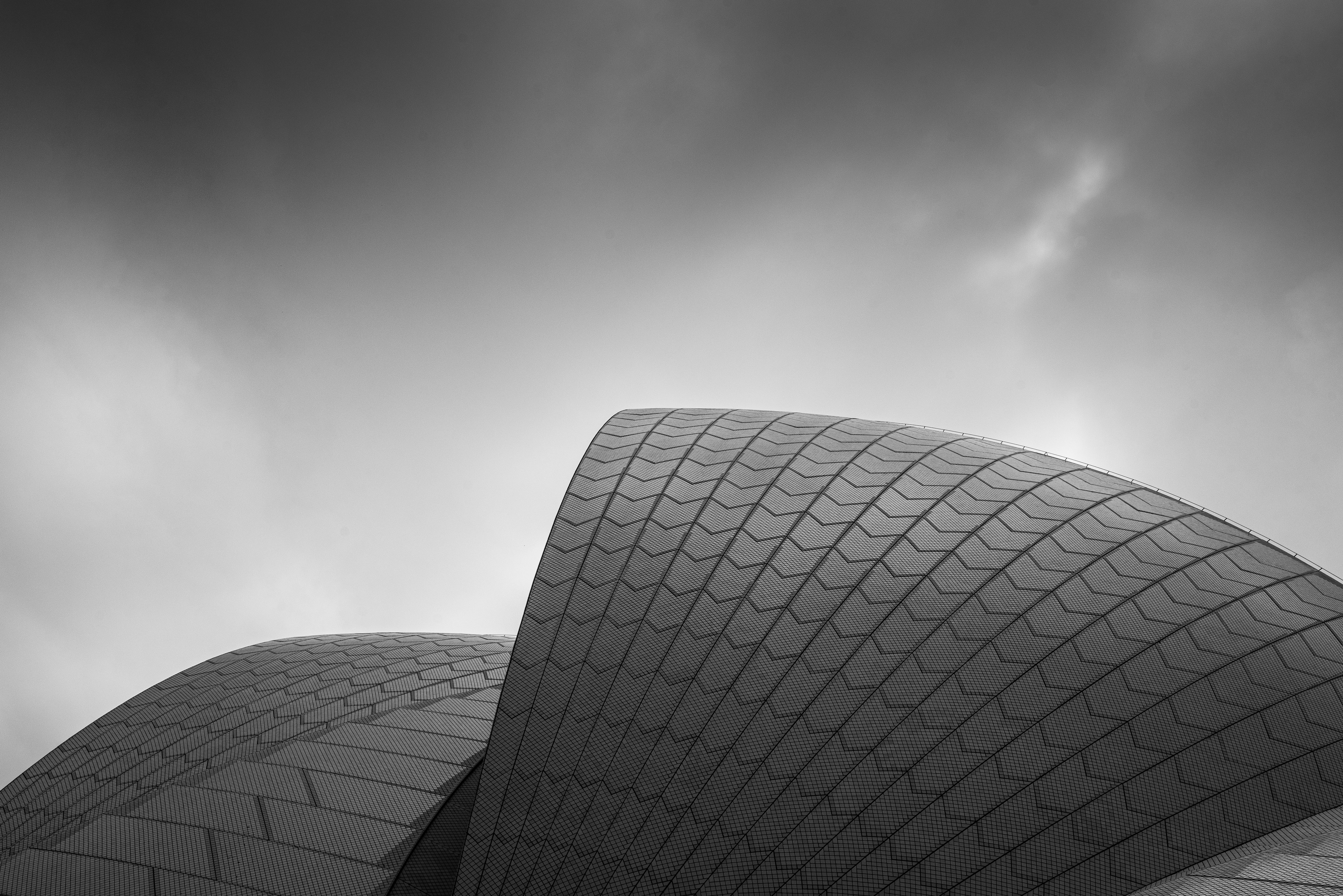 Silver Sails