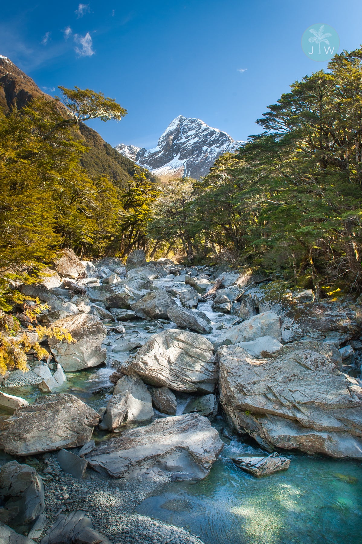 Routeburn Stream