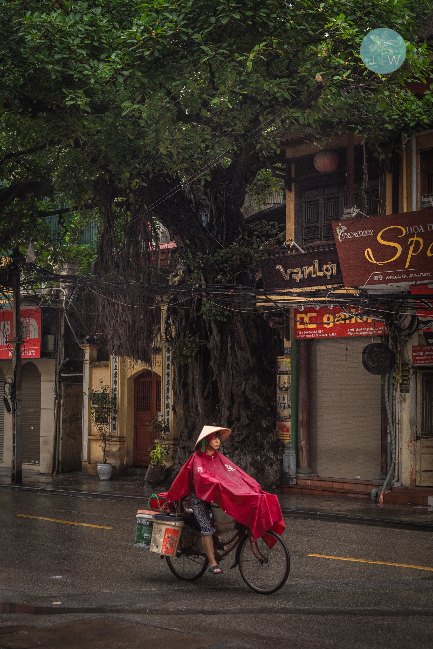 Lady in Red