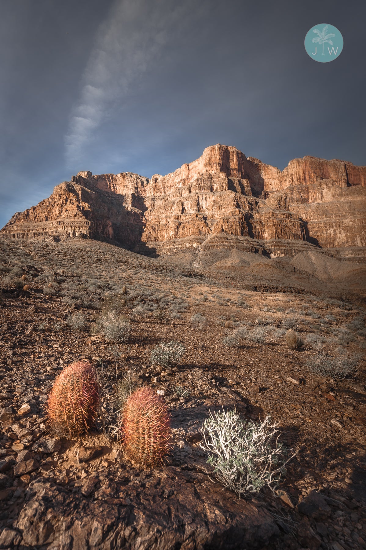 Grand Canyon View