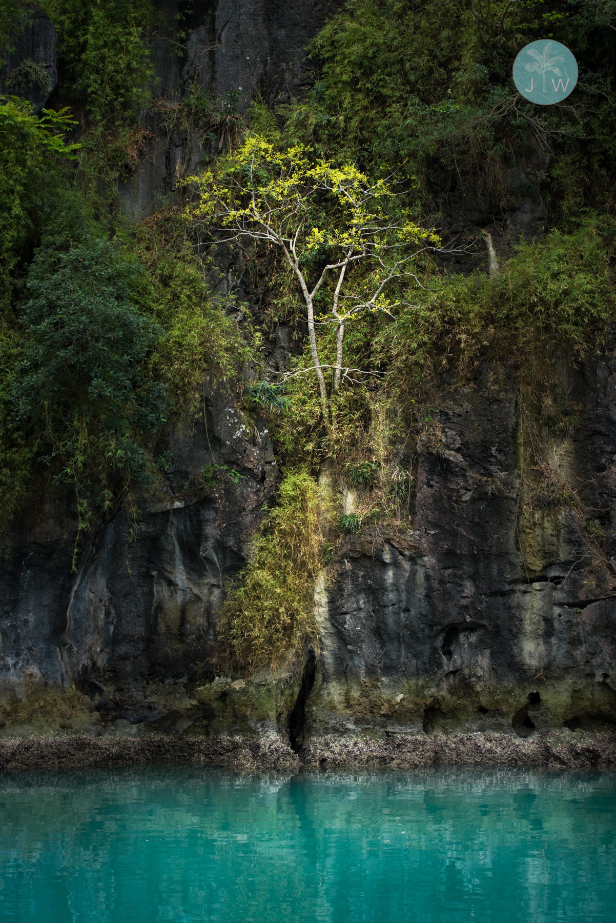 Halong Bay Details