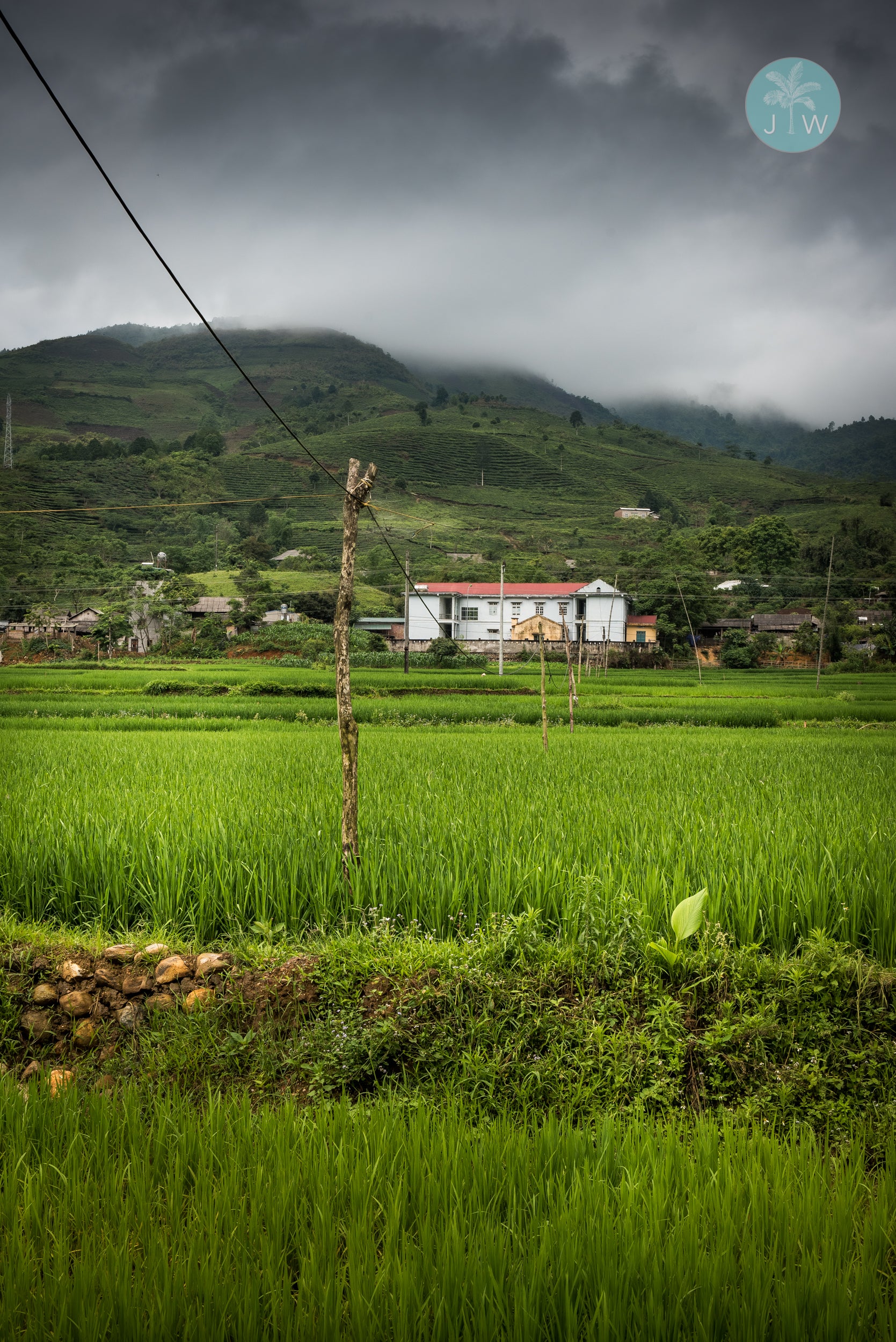 Mù Cang Chải Farm