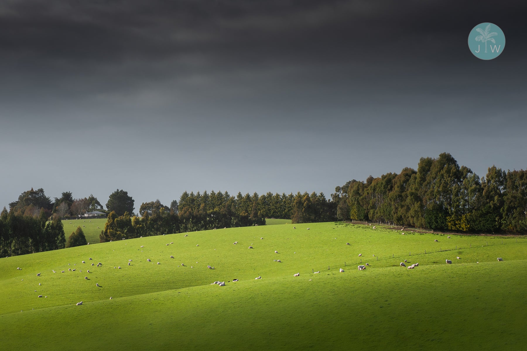 Canterbury Meadows