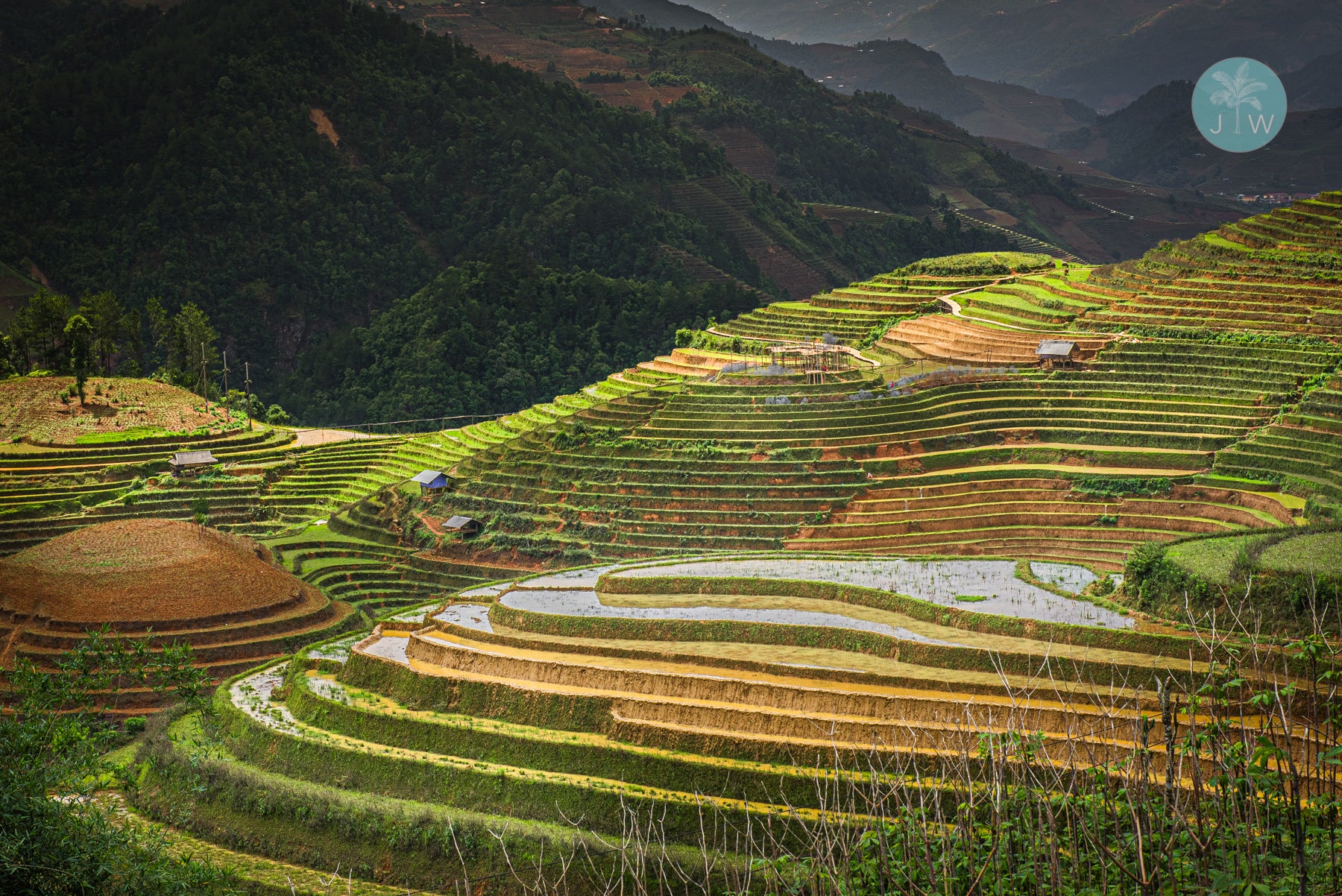 Mù Cang Chải Hilltop