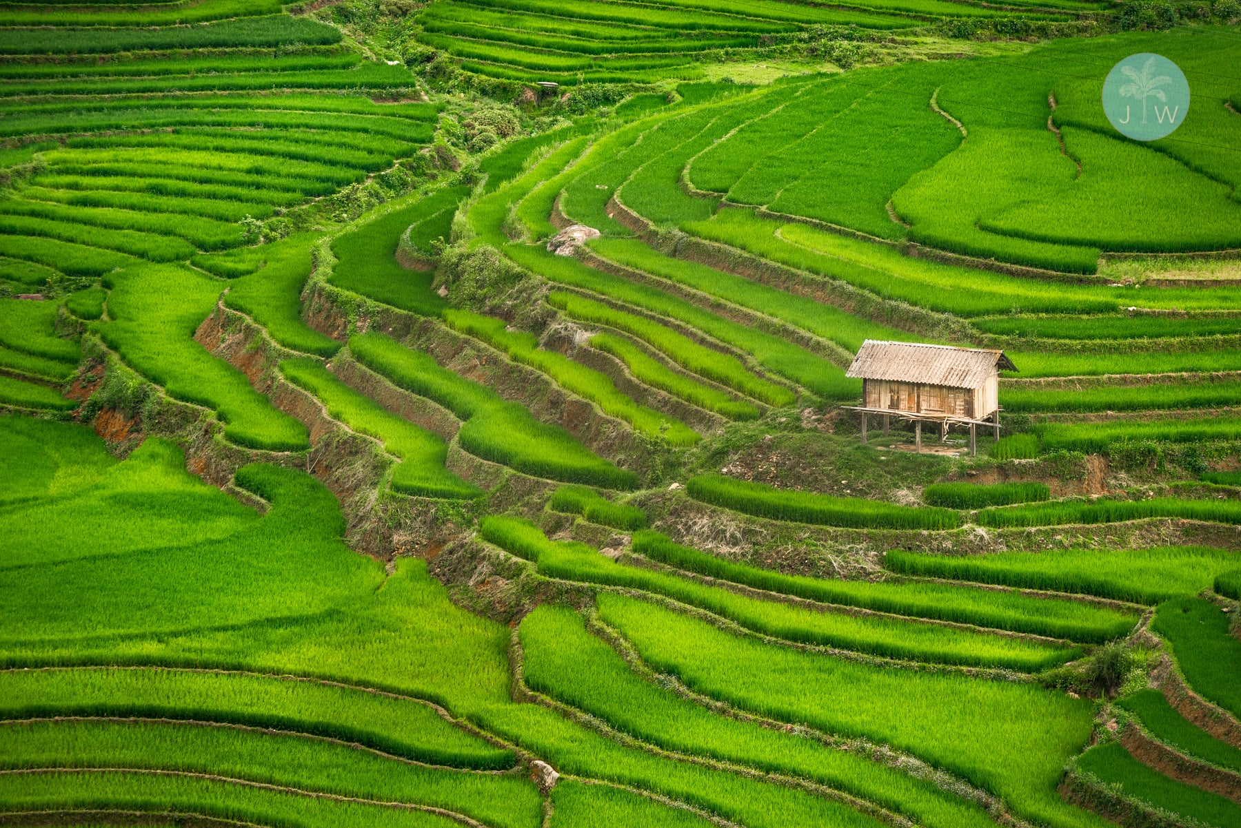 Mù Cang Chải Hut