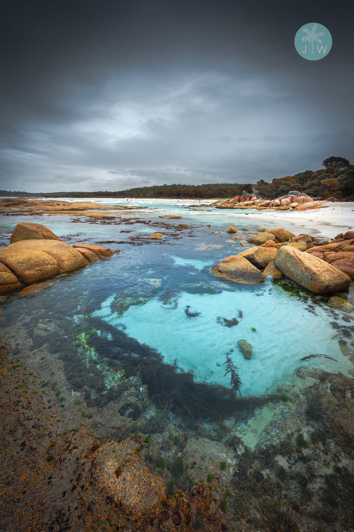 Bay of Fires Rock Pool