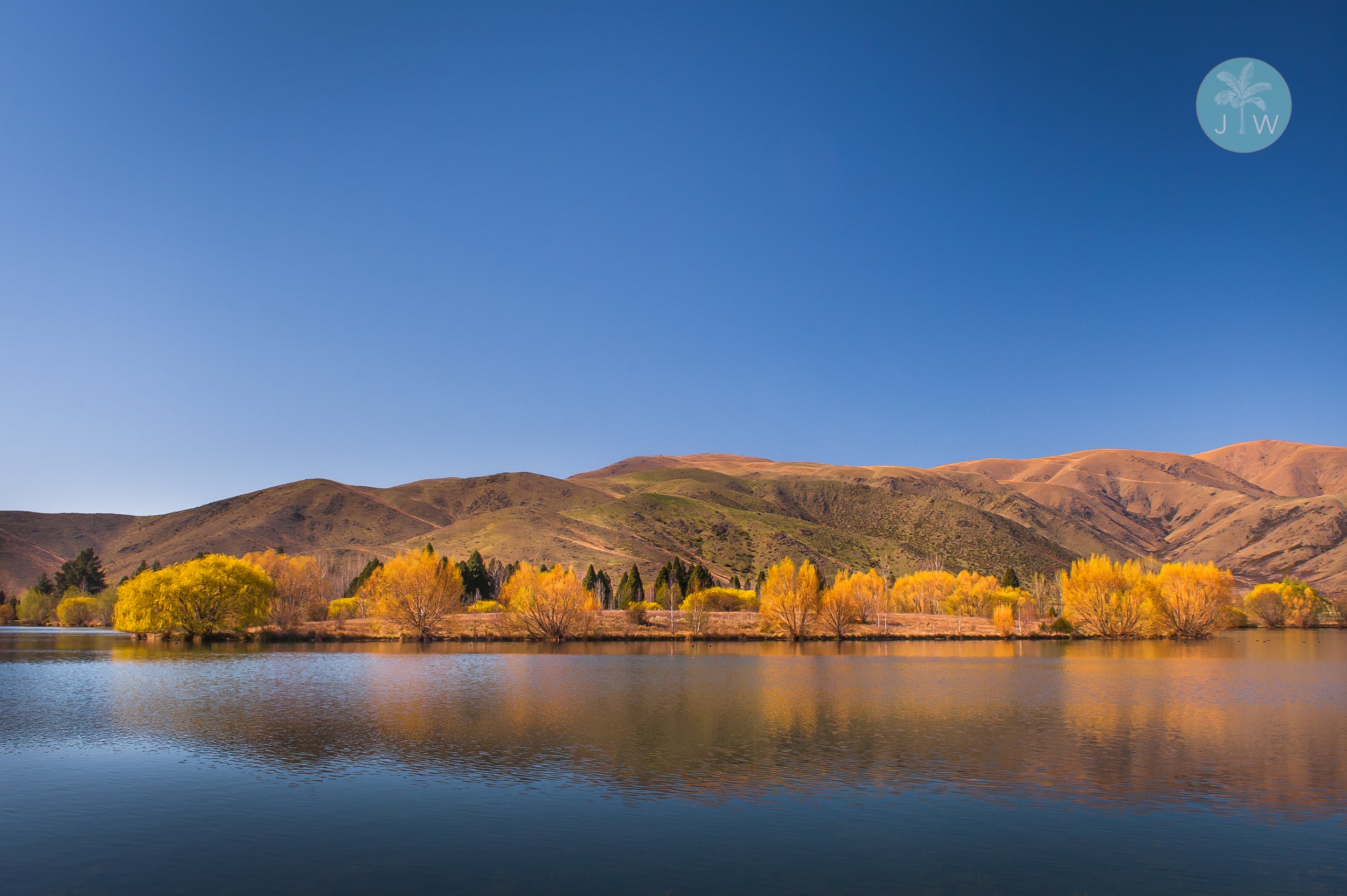 Twizel Foliage