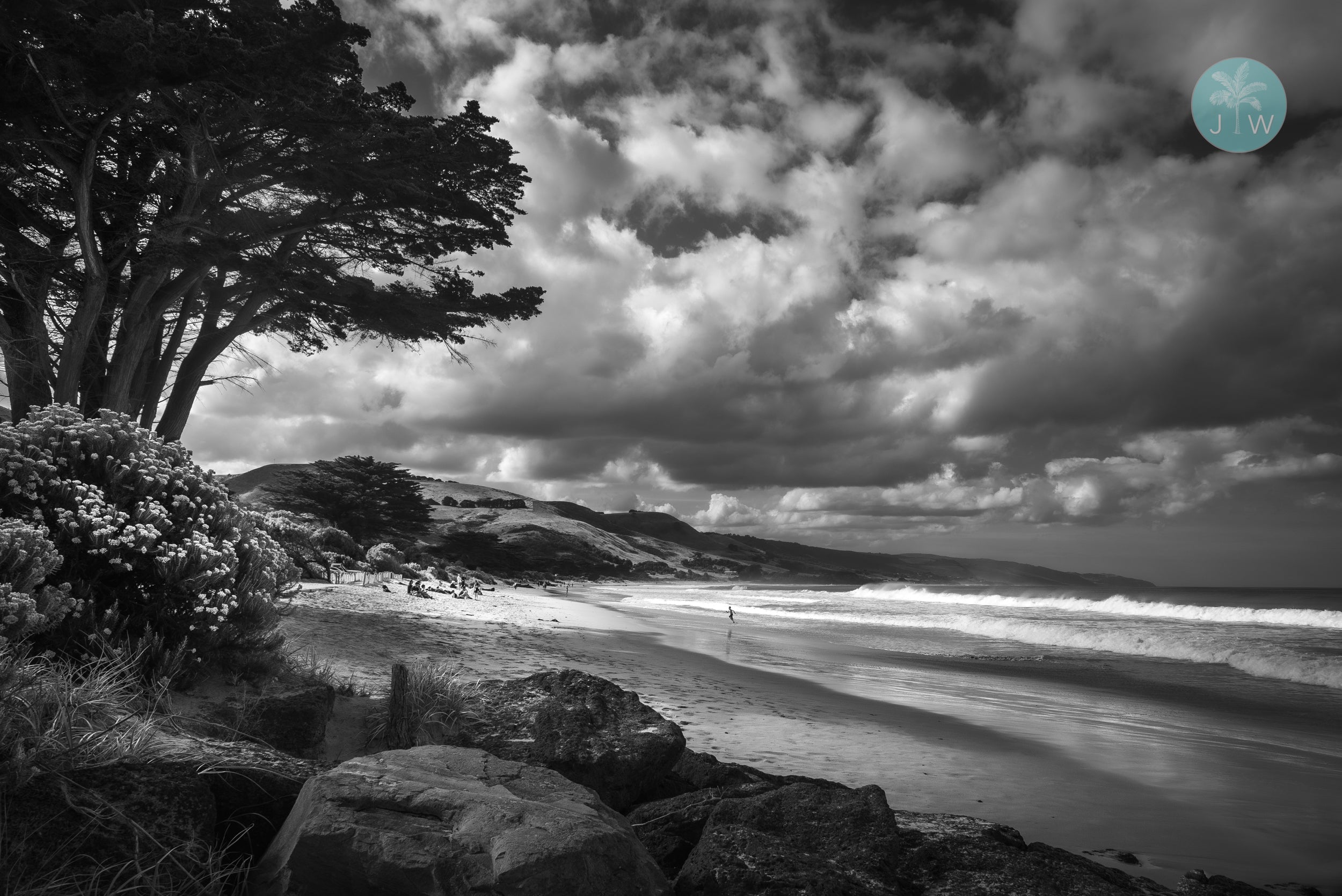 Apollo Bay Monochrome