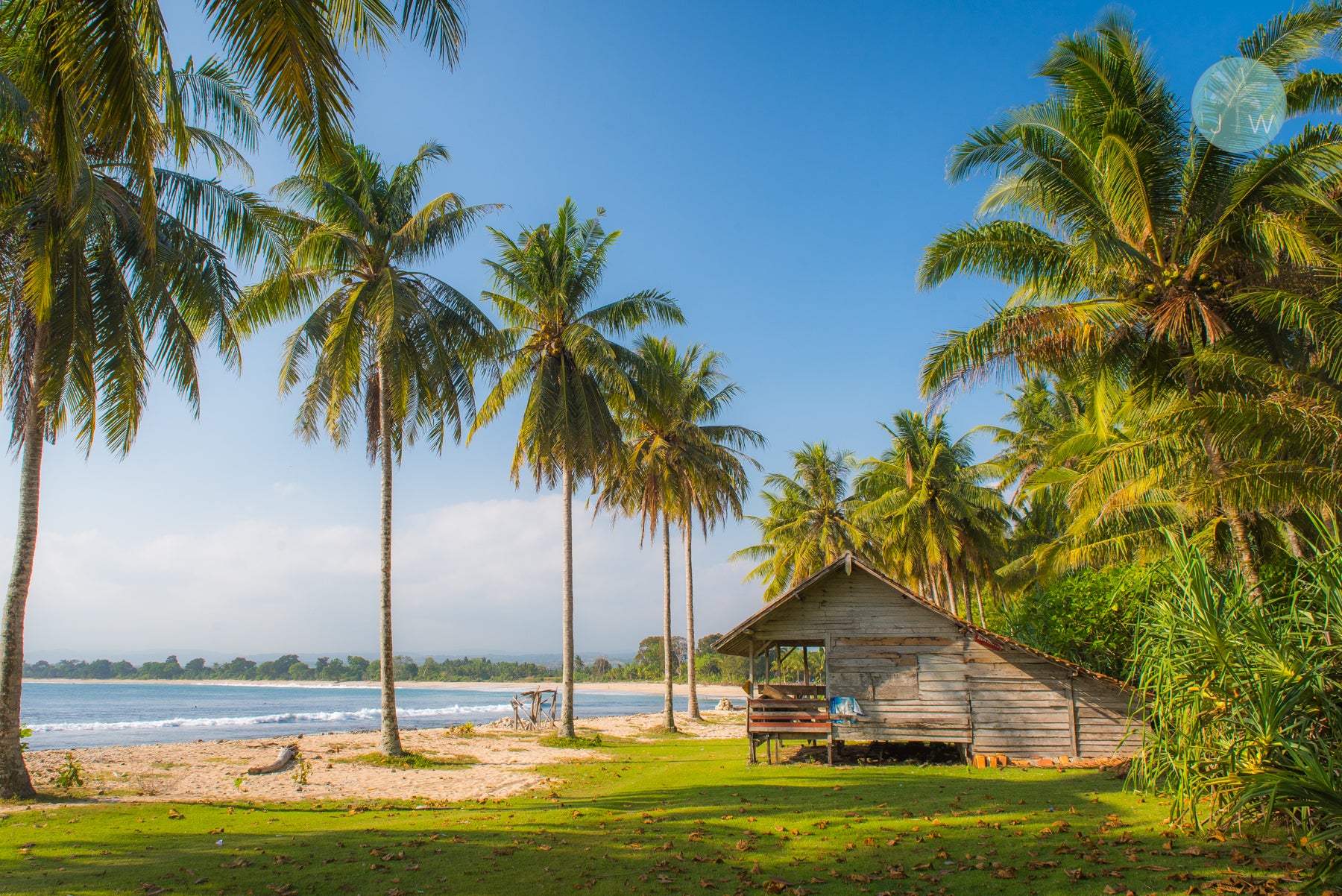 Surf Shack Dreams