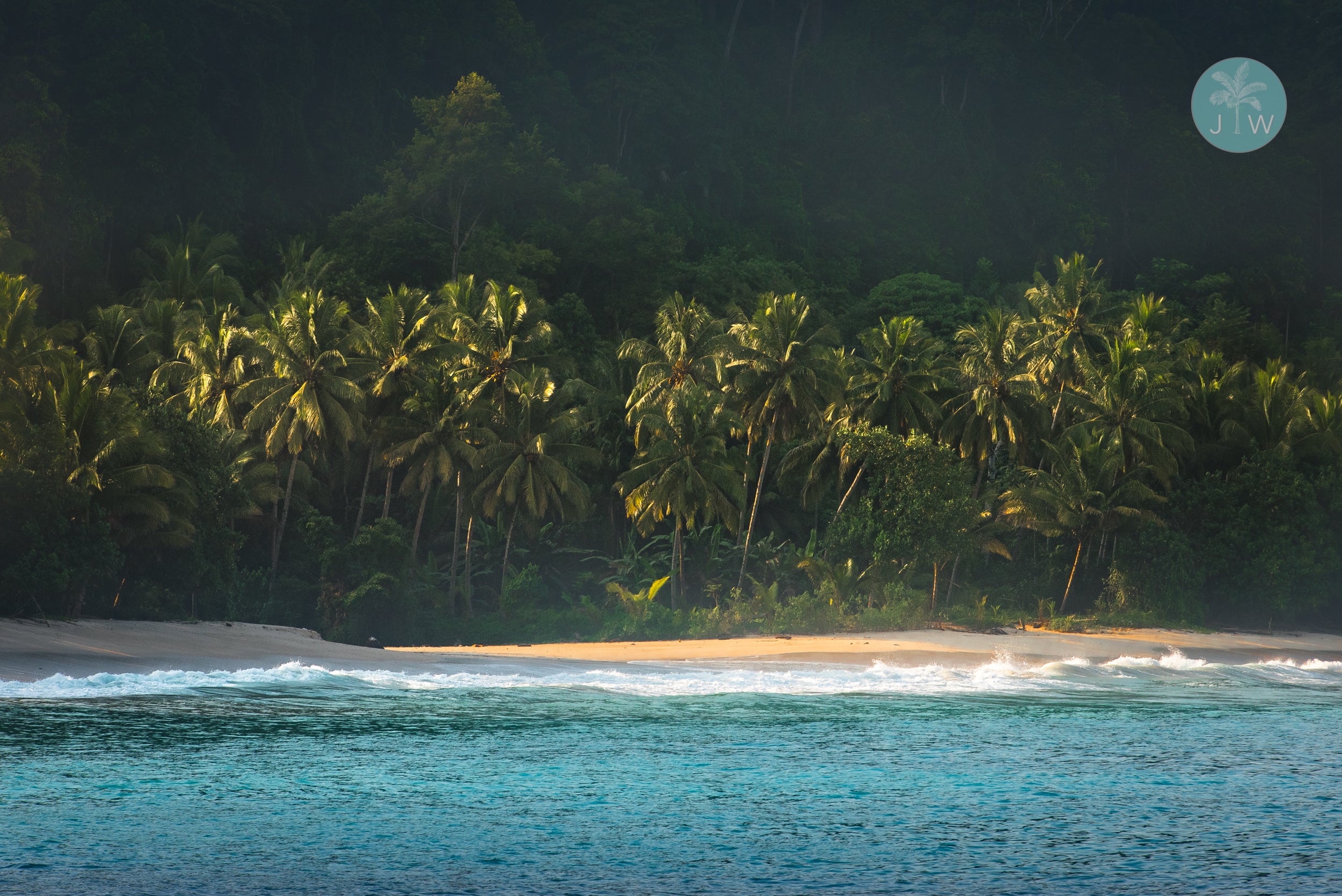 Sumatran Jungle