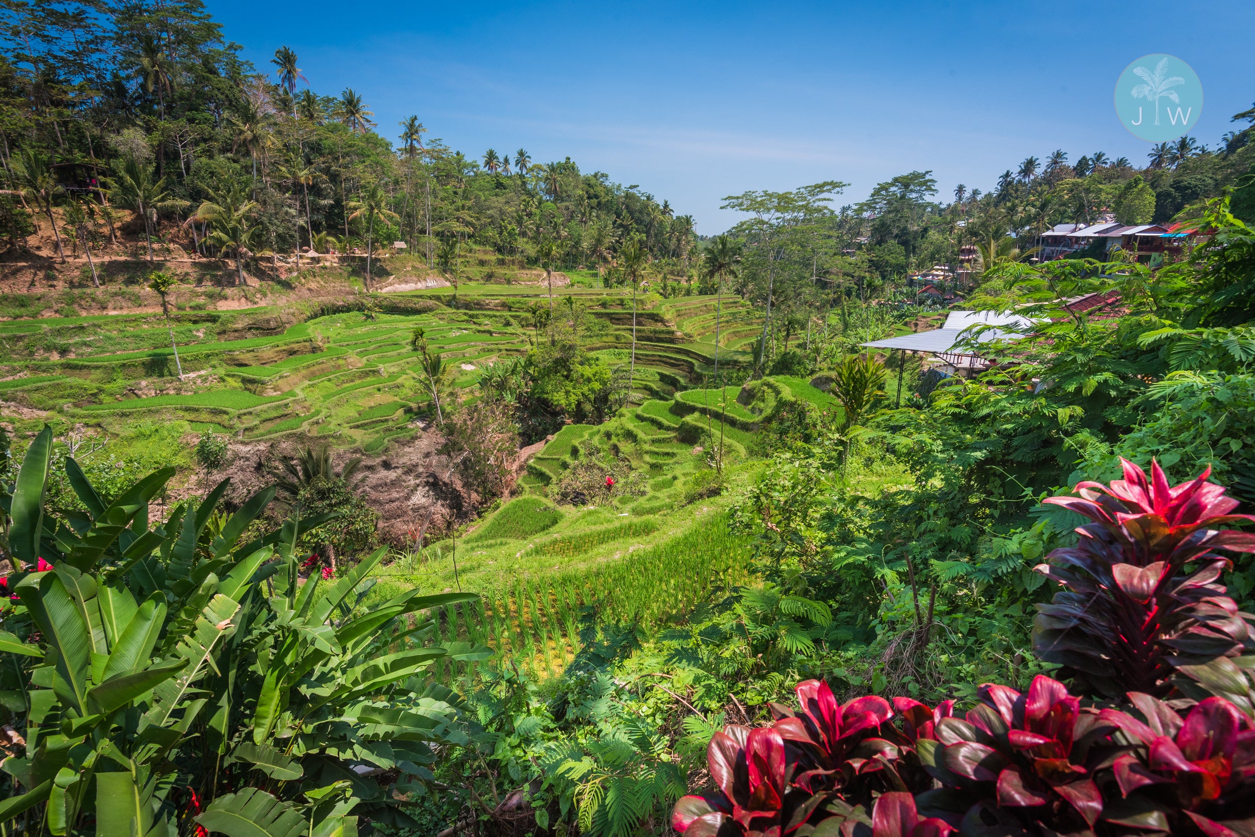 Ubud View