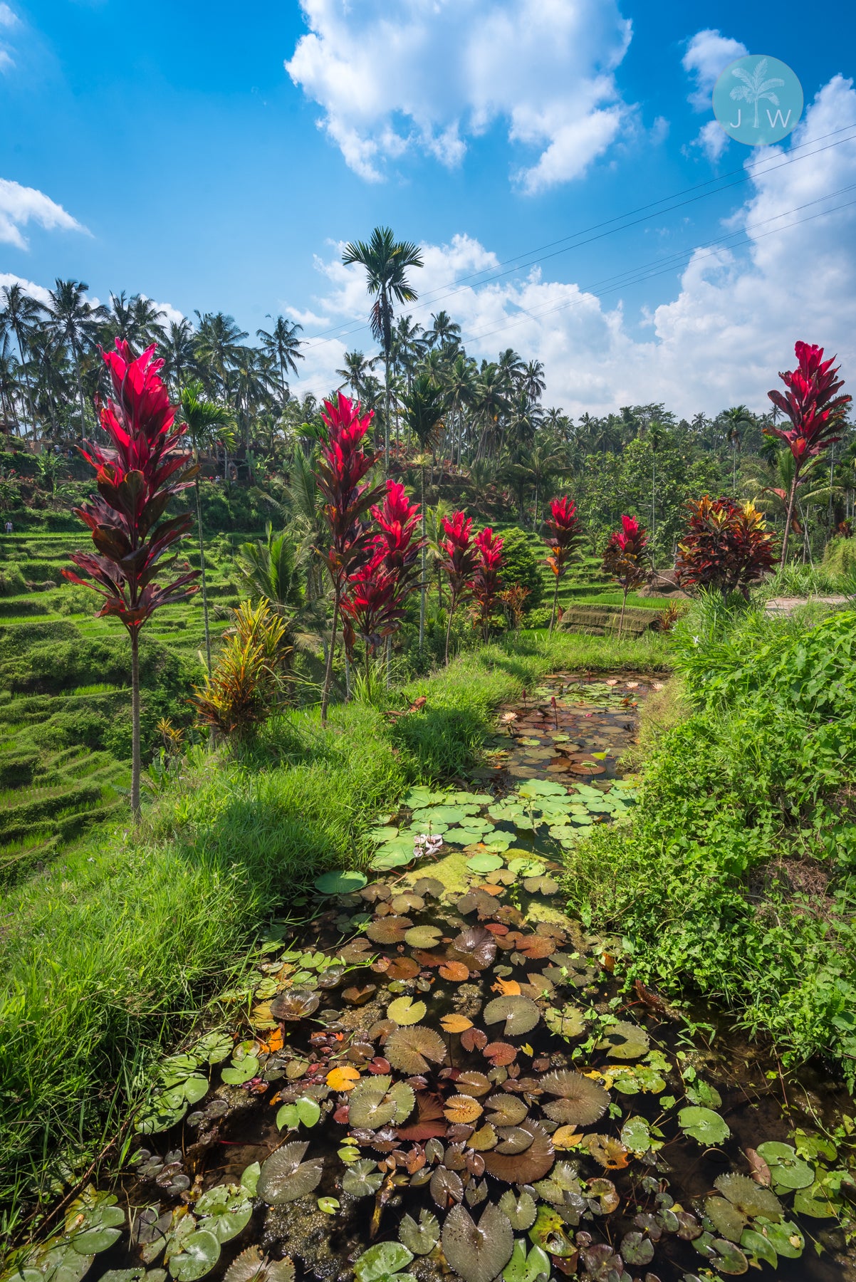 Ubud Gardens