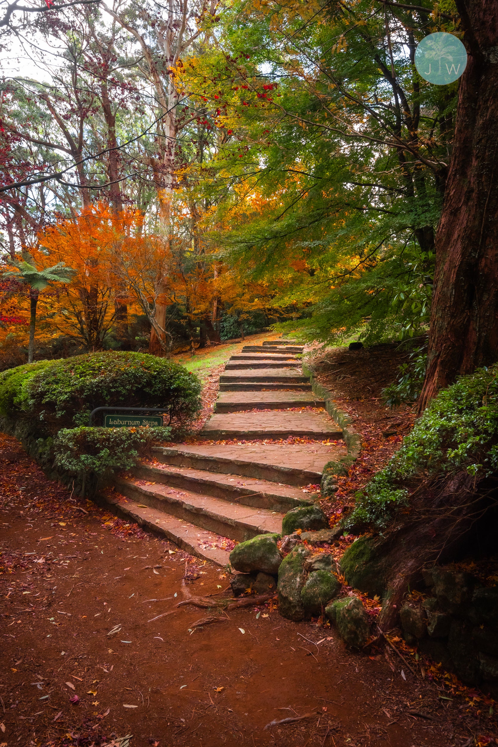 Laburnum Steps