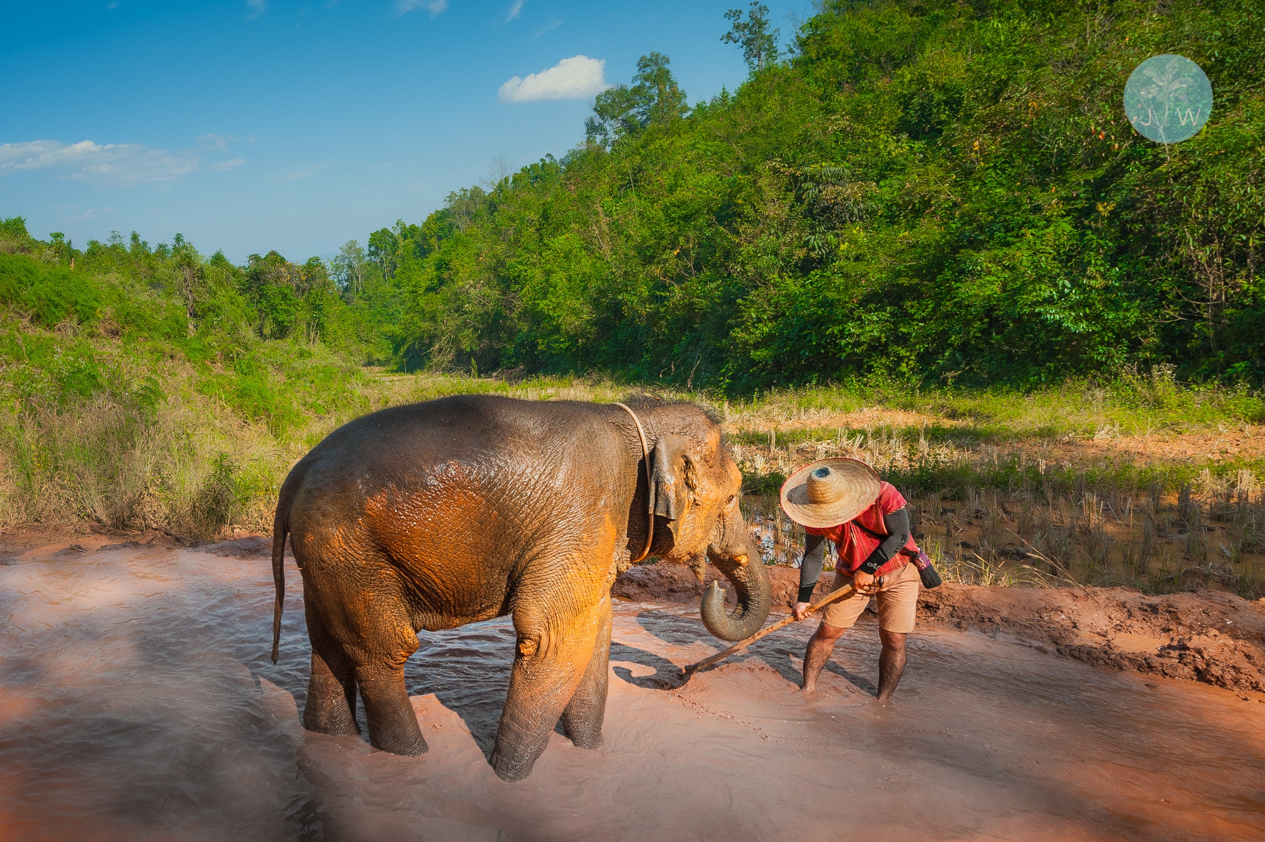 Elephant Nature Park