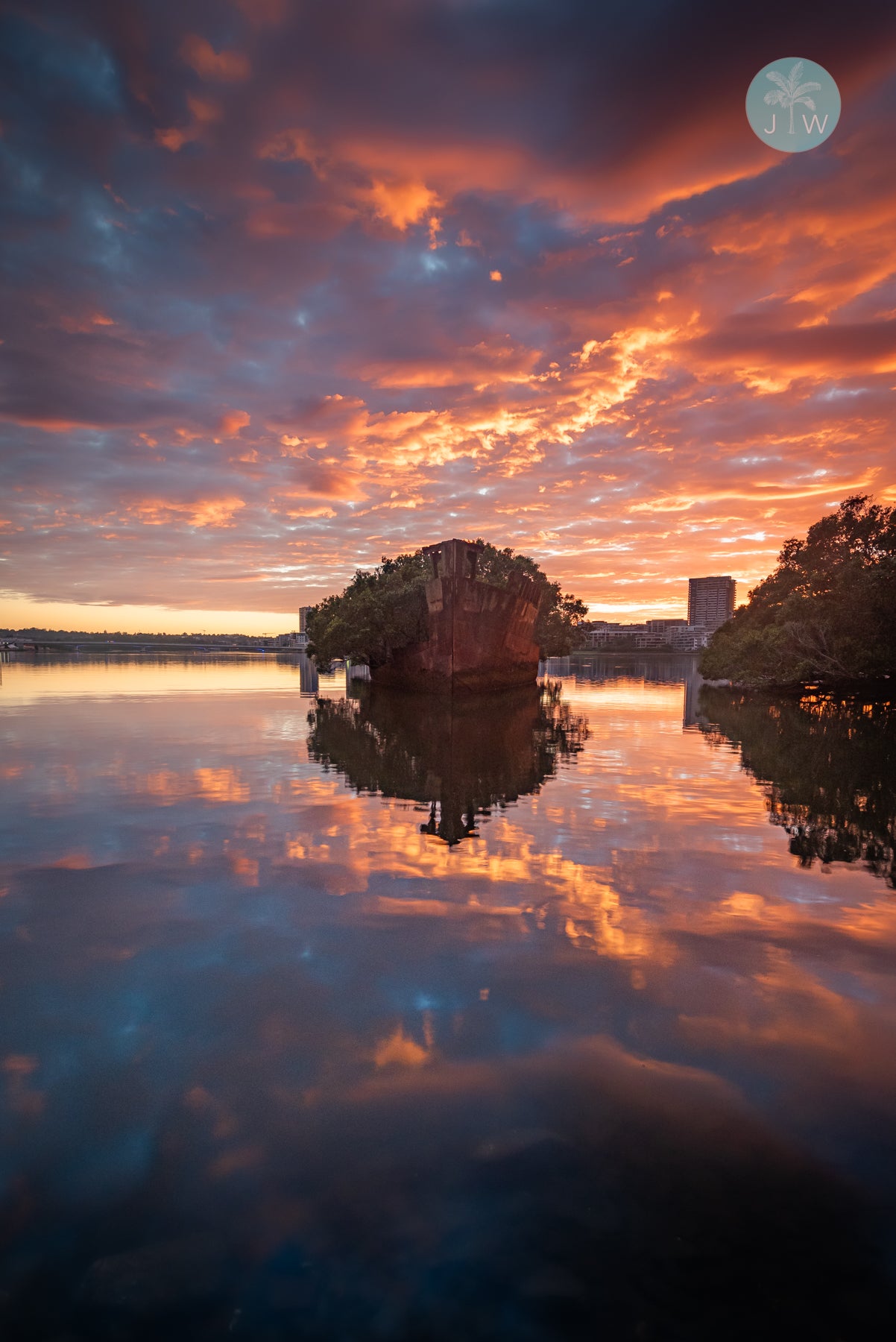 SS Ayrfield Sunrise