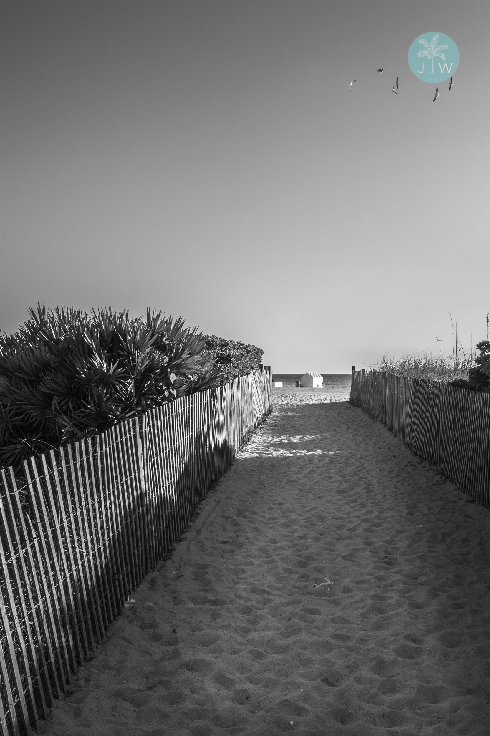 South Beach Dune Path