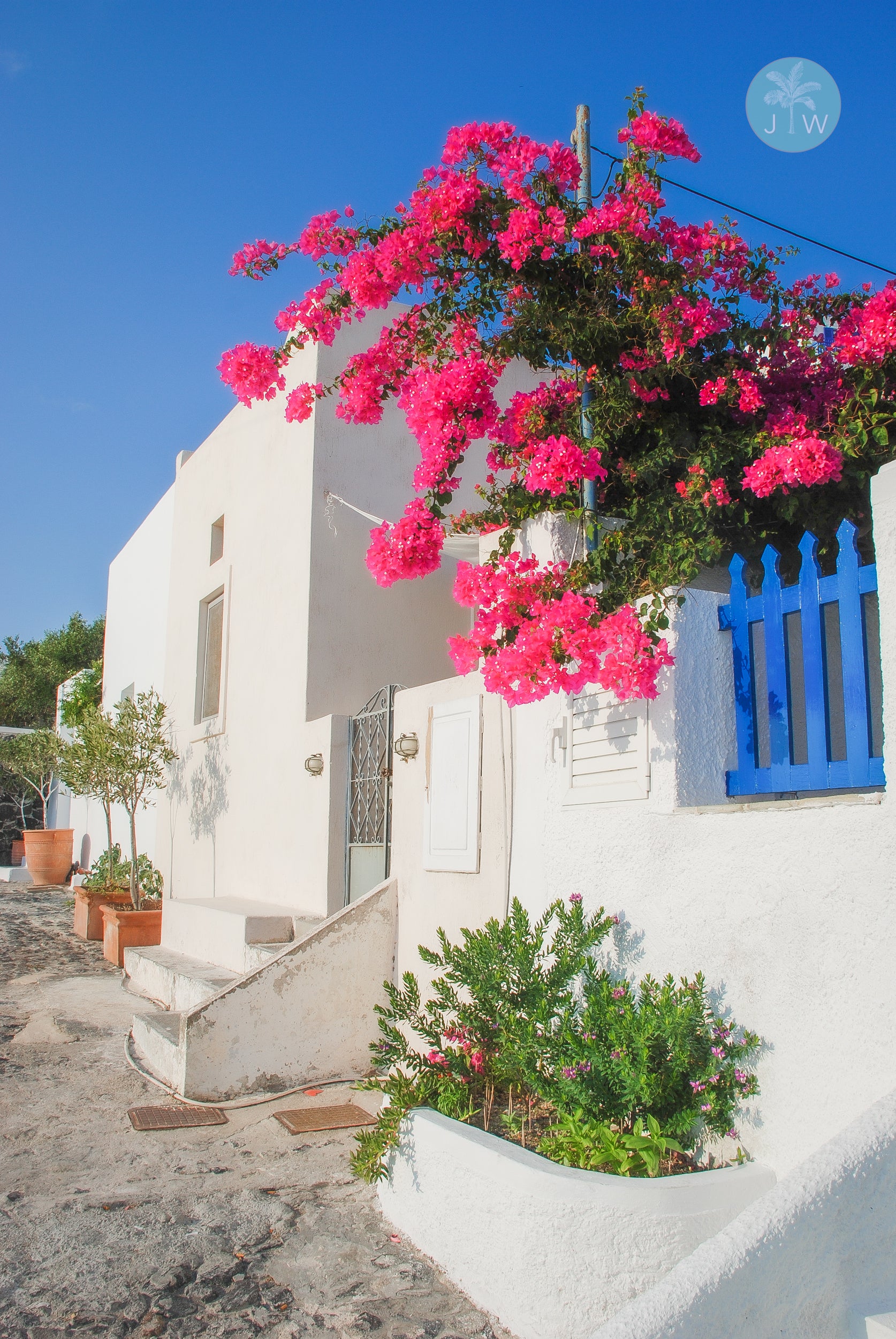 Thira Bougainvillea