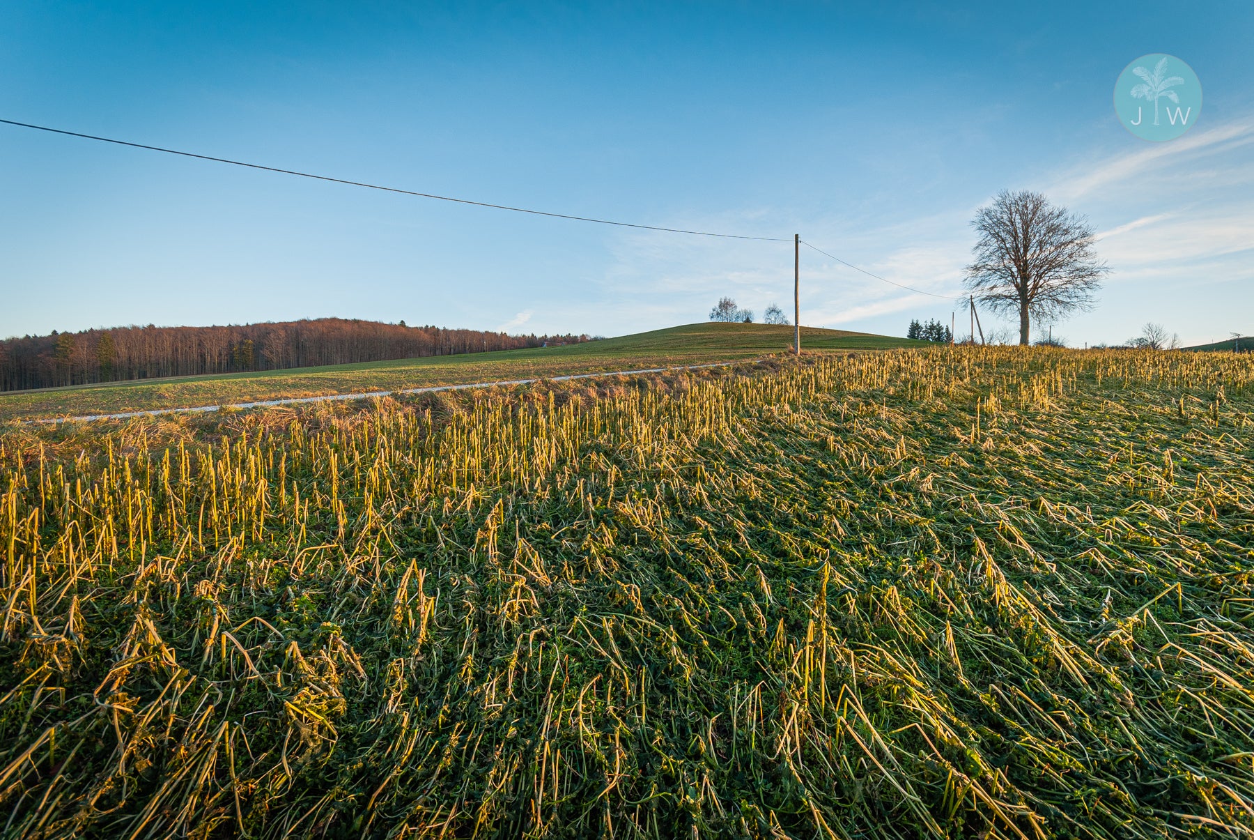 Rastenfeld Field