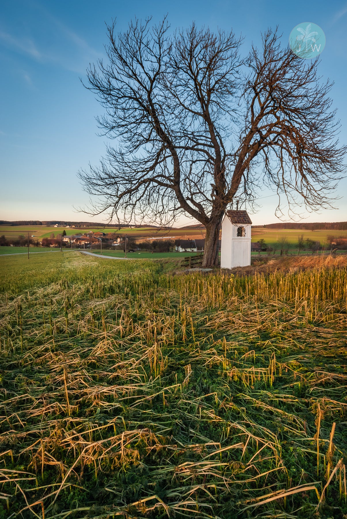 Rastenfeld Sunset Vertical